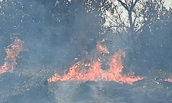 Fire breaks out at Siddeshwara hill near Thirthahalli