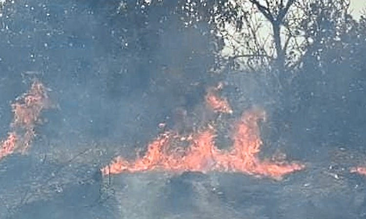 Fire breaks out at Siddeshwara hill near Thirthahalli