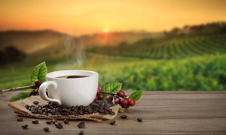 Bad news for coffee lovers: Climate change is shrinking the world's supply