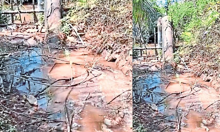 Kundapura: 6 ದಿನಗಳಿಂದ ನೀರಿಲ್ಲ!