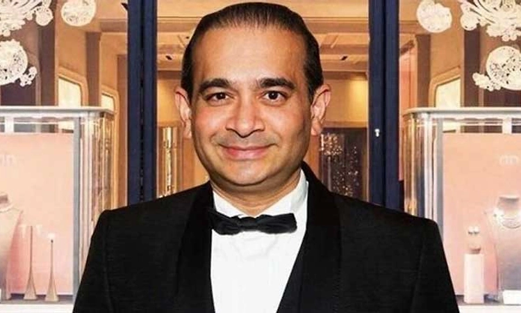 Nirav Modi seeks to reopen UK extradition case alleging 'real risk of torture' in India