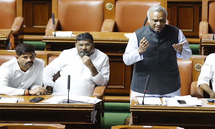 ದತ್ತು ಪಡೆಯದವರಿಂದ ಗೋವು ರಕ್ಷಣೆ ಮಾತು: ಪ್ರಿಯಾಂಕ್‌ ಖರ್ಗೆ