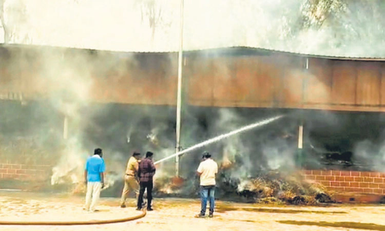 ಗೋ ಶಾಲೆಯಲ್ಲಿ ಅಗ್ನಿ ಅವಘಡ; 80 ಲಕ್ಷದ ಒಣ ಹುಲ್ಲು ಕರಕಲು: ಕಿಡಿಗೇಡಿಗಳ ಕೃತ್ಯ 