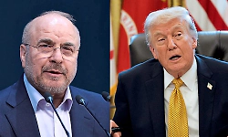 Trump made multiple false claims within a short period: Iran speaker