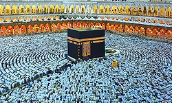 First batch of Indian pilgrims arrives in Saudi Arabia for Haj