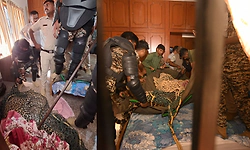 ಮೈಸೂರು: ಮನೆಯ ಮಂಚದ ಕೆಳಗೆ ಅವಿತಿದ್ದ ಚಿರತೆ ಸೆರೆ