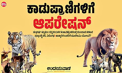 Wild Animals: ಕಾಡುಪ್ರಾಣಿಗಳಿಗೆ ಆಪರೇ‌ಷನ್