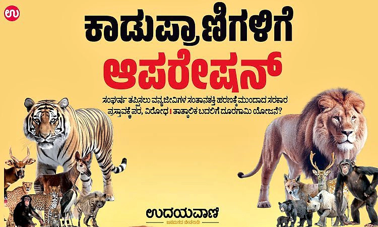 Wild Animals: ಕಾಡುಪ್ರಾಣಿಗಳಿಗೆ ಆಪರೇ‌ಷನ್