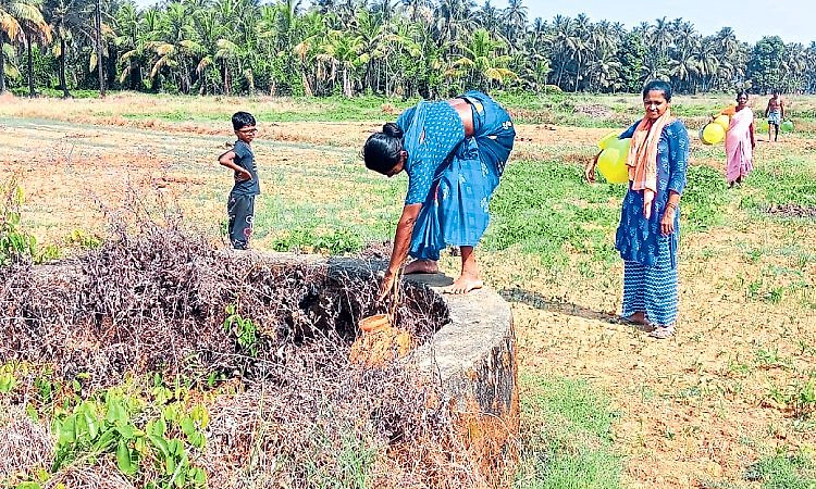 ಅತ್ತಿಕೋಣೆ: 1 ಕೊಡ ನೀರಿಗೆ ಹೊಳೆ ದಾಟಬೇಕು!