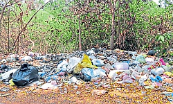 ಮೂಲ್ಕಿ ರೈಲು ನಿಲ್ದಾಣ ಸಂಪರ್ಕ ರಸ್ತೆ ಕಸ‌ಮಯ