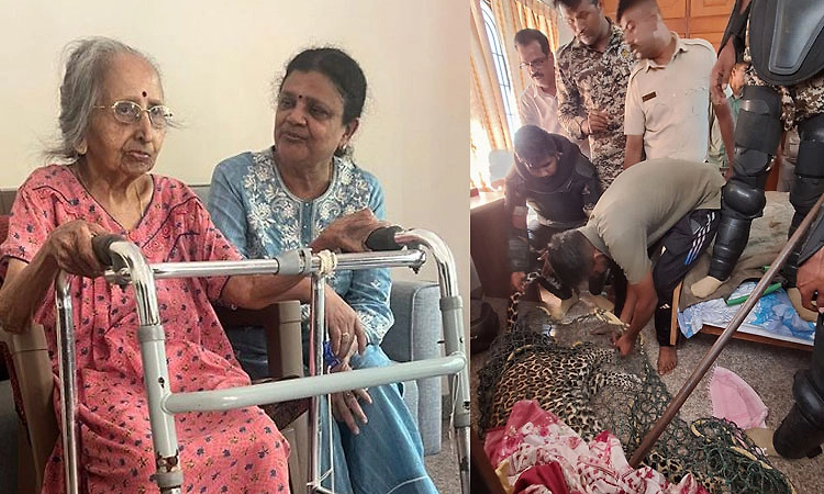 ಮಂಚದಡಿ ಚಿರತೆ ಇದ್ದರೂ ಅತ್ತೆಯ ರಕ್ಷಿಸಿದ ಸೊಸೆಗೆ ಚೆನ್ನಮ್ಮ ಪ್ರಶಸ್ತಿ: ಸಚಿವೆ ಲಕ್ಷ್ಮೀ 