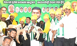 2028ರಲ್ಲಿ ಜೆಡಿಎಸ್‌ಗೆ 75-80 ಸ್ಥಾನ: ಎಚ್‌.ಡಿ.ಕುಮಾರಸ್ವಾಮಿ ವಿಶ್ವಾಸ