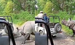 Video Viral:ಅಸ್ಸಾಂ ರಾಷ್ಟ್ರೀಯ ಉದ್ಯಾನವನದಲ್ಲಿ ಸಫಾರಿ ಜೀಪ್ ಮೇಲೆಯೇ ಮುಗಿಬಿದ್ದ ಘೇಂಡಾಮೃಗ!