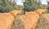 ಕಾಡಾನೆ ಹಾವಳಿ ತಡೆಗೆ ಆನೆ ಕಂದಕ, ಸೋಲಾರ್‌‌ ಬೇಲಿ   