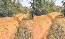 ಕಾಡಾನೆ ಹಾವಳಿ ತಡೆಗೆ ಆನೆ ಕಂದಕ, ಸೋಲಾರ್‌‌ ಬೇಲಿ   