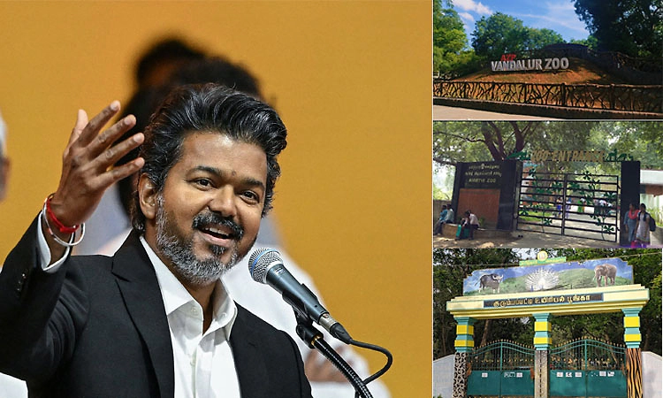 ತಮಿಳುನಾಡು ಸಿಎಂ ವಿಜಯ್ ಜನ್ಮದಿನ: ರಾಜ್ಯದ 3 ಪ್ರಮುಖ ಮೃಗಾಲಯಗಳಿಗೆ 2 ದಿನ ಉಚಿತ ಪ್ರವೇಶ