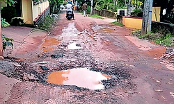 ಹಳ್ಳಿ ಸೊಗಡಿನ ಜಪ್ಪುವಿಗೆ ನೆರೆಯೇ ಹೊರೆ