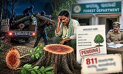 ಗಂಧದ ಕಟಾವಿಗೆ ಅನುಮತಿ ಕೇಳಿದ ಕೂಡಲೇ ಕಳ್ಳತನ!