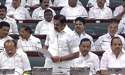 Karnataka forest dept 'killing' three 'Tamils' echoes in TN Assembly