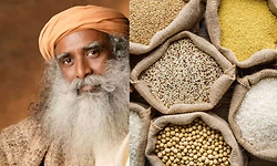 ಪ್ರತಿದಿನ ರಾಗಿ ತಿಂದರೆ ಏನಾಗುತ್ತೆ? ಸದ್ಗುರು ತಿಳಿಸಿದ ಈ 'ಸೂಪರ್ ಸಿರಿಧಾನ್ಯ'ದ ರಹಸ್ಯಗಳು..