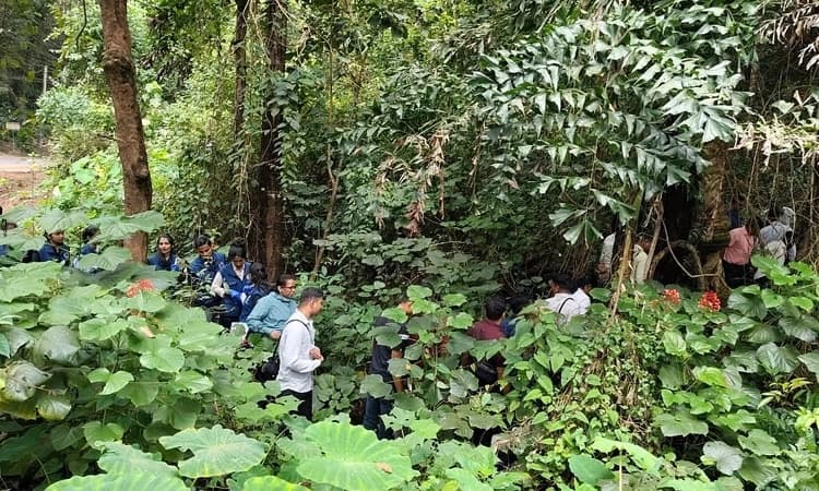 Belthangady: Identity of one skeleton found in Banglegudde area traced