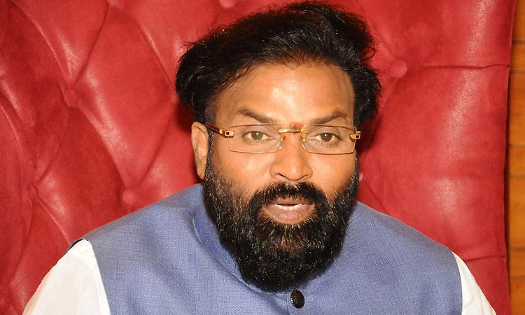 ಮೊಳಕಾಲ್ಮೂರು ಕ್ಷೇತ್ರದಿಂದ ಸ್ಪರ್ಧೆಗೆ ಚಿಂತನೆ: ರಾಮುಲು