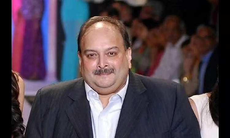 PNB fraud: Court rejects Mehul Choksi's plea seeking dropping of FEO proceedings