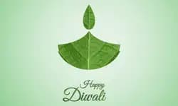 Lighting up responsibly: How to celebrate an eco-friendly Diwali