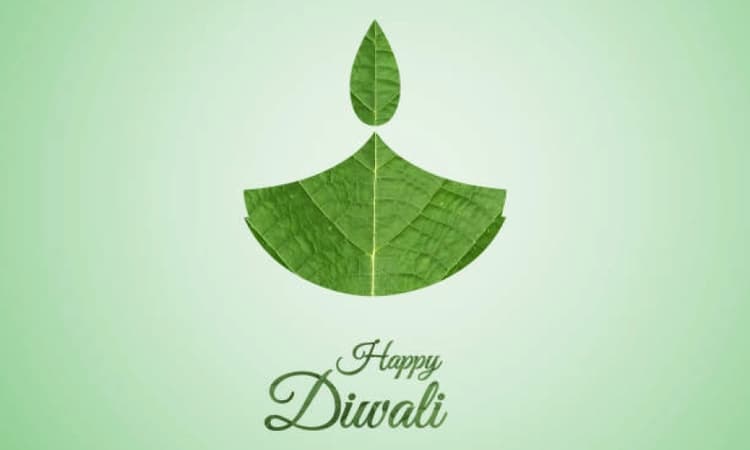 Lighting up responsibly: How to celebrate an eco-friendly Diwali