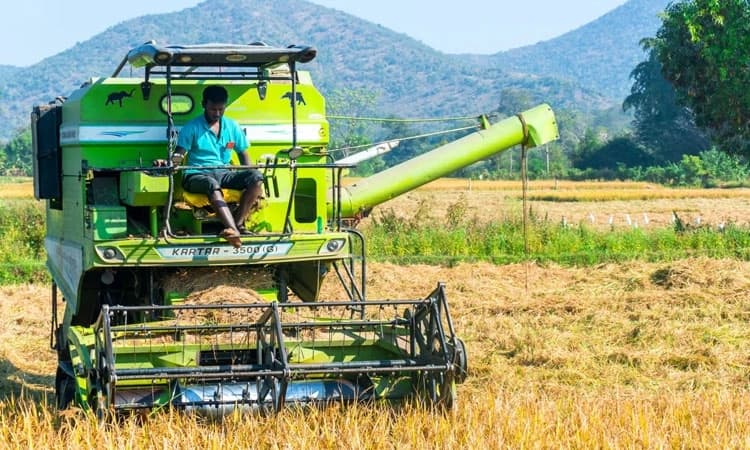 Fallow land in Kallur revived for paddy cultivation after decades of neglect