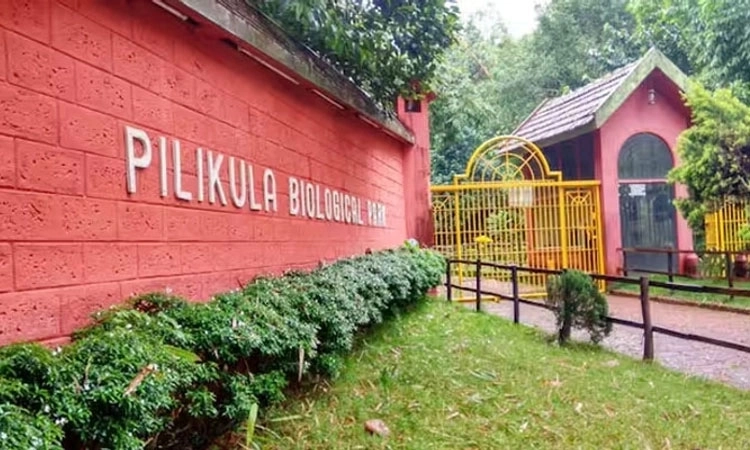 Pilikula park and zoo to stay open on October 20