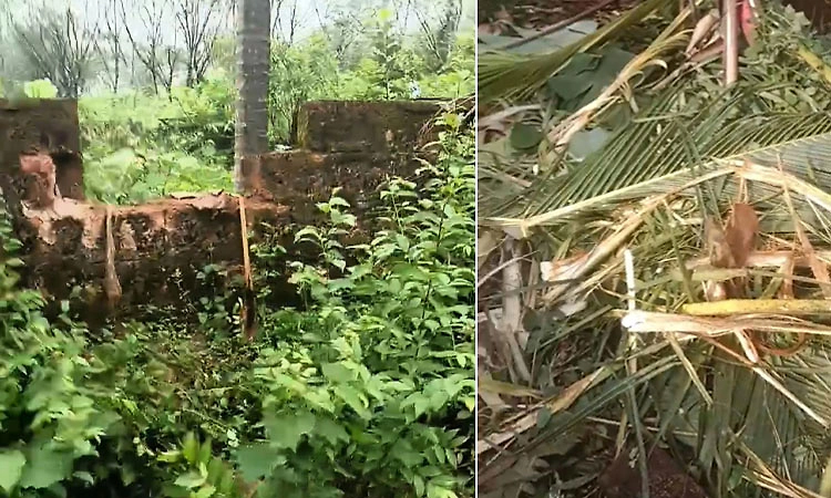 ಸಂಪಾಜೆ : ತೀವ್ರಗೊಂಡ ಕಾಡಾನೆಗಳ ಉಪಟಳ