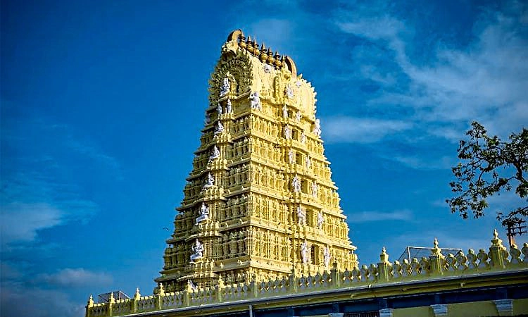 ಮೈಸೂರು: ಚಾಮುಂಡಿಬೆಟ್ಟದಲ್ಲಿ ಅ.28ರ ತನಕ ಉಚಿತ ದರ್ಶನ