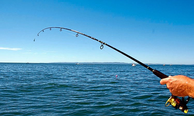 Malpe; ಪ್ರವೇಶ ನಿರ್ಬಂಧ ಇರುವ ದ್ವೀಪದಲ್ಲಿ ಮೀನಿಗೆ ಗಾಳ: 8 ಮಂದಿ ವಿರುದ್ಧ ಪ್ರಕರಣ