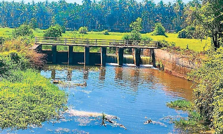 ಯೋಜನೆಯ ಧೂಳು ಹೊಡೆದೇ 45 ವರ್ಷಗಳಾದವು ಎಂದರೆ ತಪ್ಪೇನೂ ಇಲ್ಲ !