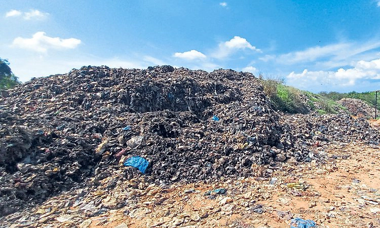 Mangaluru: ಪಚ್ಚನಾಡಿ ತ್ಯಾಜ್ಯಕ್ಕೆ ಮತ್ತೆ ಬೆಂಕಿ ಭೀತಿ