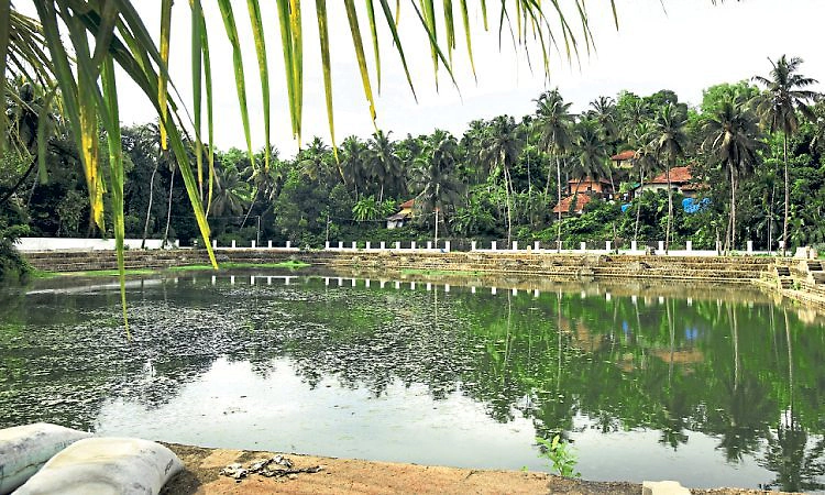 Lalbagh: ನಾಲ್ಕು ಐತಿಹಾಸಿಕ ಕೆರೆಗಳಿಗೆ 'ಅಮೃತ್‌' ಭಾಗ್ಯ!