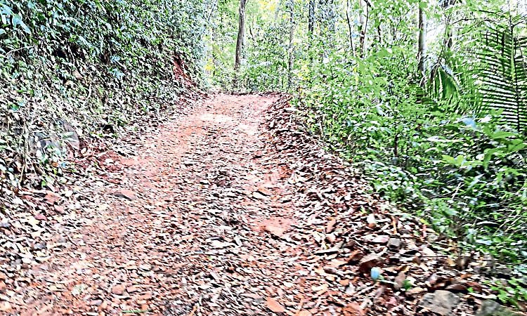 ವಿಕ್ರಂ ಗೌಡನ ಪ್ರಕರಣಕ್ಕೆ ಸಂದಿತು ವರ್ಷ; ಮೂಲಸೌಕರ್ಯ ಇಲ್ಲ, ಪುನರ್ವಸತಿ ಪರಿಹಾರವೂ ಇಲ್ಲ