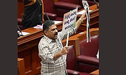 ಹೆಣ್ಣು ಸಿಗದ ರೈತ ಮಕ್ಕಳ ಖಾತೆಗೆ 10 ಲಕ್ಷ ರೂ. ಹಾಕಿ: ಸರ್ಕಾರಕ್ಕೆ ಪುಟ್ಟಣ್ಣ