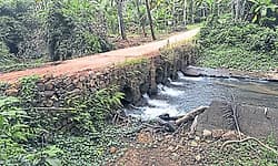 Aranthodu: ಕೂರ್ನಡ್ಕ; ಸರ್ವಋತು ಸೇತುವೆಗೆ ಜನರಿಂದ ಹೆಚ್ಚುತ್ತಿರುವ ಬೇಡಿಕೆ