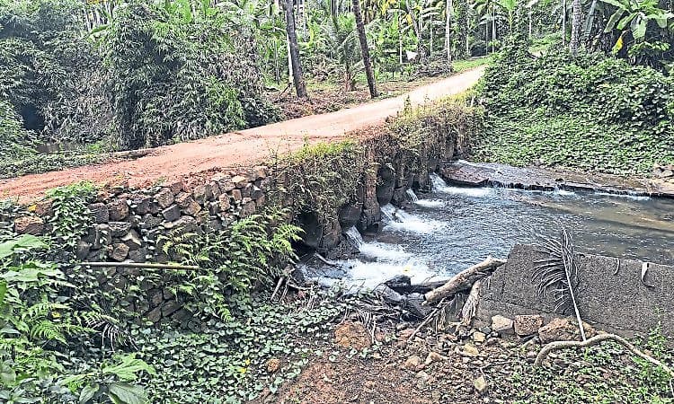 Aranthodu: ಕೂರ್ನಡ್ಕ; ಸರ್ವಋತು ಸೇತುವೆಗೆ ಜನರಿಂದ ಹೆಚ್ಚುತ್ತಿರುವ ಬೇಡಿಕೆ