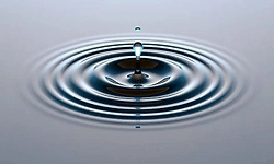 ಜಲಮೂಲ ಶುಚಿತ್ವ ಕಾಪಾಡಲು ಕೈಜೋಡಿಸಿ