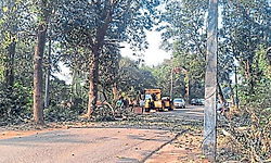 Tallur: ಶೆಟ್ರಕಟ್ಟೆ ಅಪಾಯಕಾರಿ ತಿರುವು; ಕೆಲವು ಮರಗಳ ತೆರವು