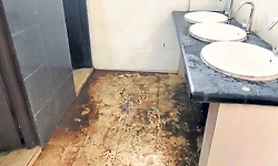 ಸುಬ್ರಹ್ಮಣ್ಯ ರೋಡ್‌ ರೈಲು ನಿಲ್ದಾಣ ಅಧಿಕಾರಿಗಳು ಬಂದಾಗಲಷ್ಟೇ ಸ್ವಚ್ಛ !