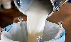 ದ.ಕನ್ನಡ: ಹಾಲಿನ ಪ್ರೋತ್ಸಾಹ ಧನ ಪ್ರತಿ ಲೀಟರ್‌ಗೆ 1 ರೂ. ಹೆಚ್ಚಳ 