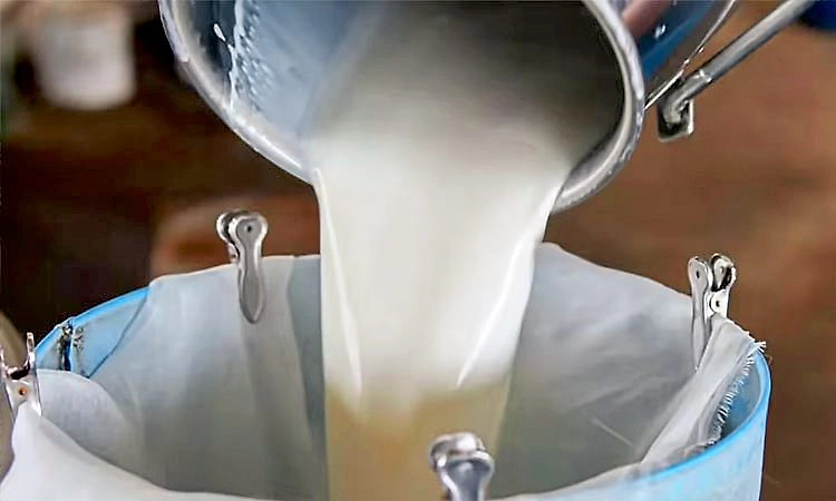 ದ.ಕನ್ನಡ: ಹಾಲಿನ ಪ್ರೋತ್ಸಾಹ ಧನ ಪ್ರತಿ ಲೀಟರ್‌ಗೆ 1 ರೂ. ಹೆಚ್ಚಳ 