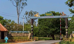 ನಾಗರಹೊಳೆ, ಬಂಡೀಪುರದಲ್ಲಿ ಸಫಾರಿ ಪುನಾರಂಭ: ಪರ-ವಿರೋಧ ಪ್ರತಿಭಟನೆ