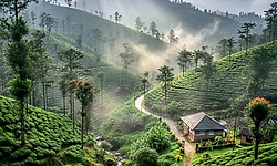 ಶ್ರೀಮಂತಿಕೆ: ಕರ್ನಾಟಕ 3ರಿಂದ 4ನೇ ಸ್ಥಾನಕ್ಕೆ ಕುಸಿತ