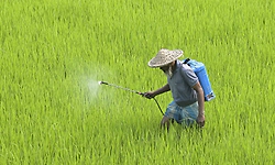 Urea plants gets additional natural gas in spot auction; to operate at 80% capacity now