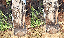 Uppunda: ಹಲವು ಗ್ರಾಮಗಳಲ್ಲಿ ಆಗಲೇ ಜಲ ಸಂಕಷ್ಟ